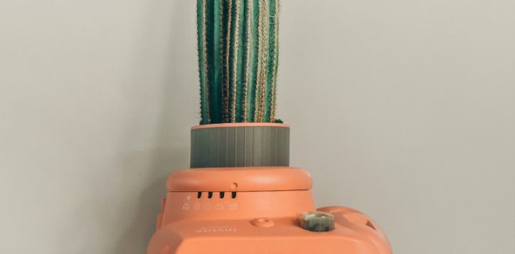 cactus-in-orange-polaroid-2