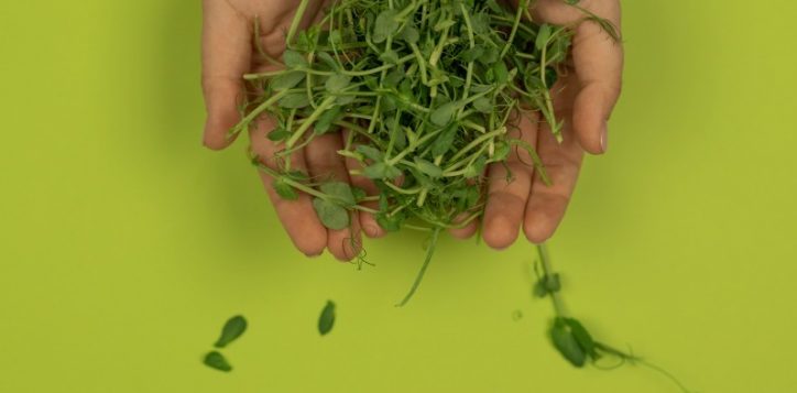 edible-garden-3