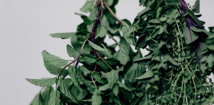 herbs-hanging-2