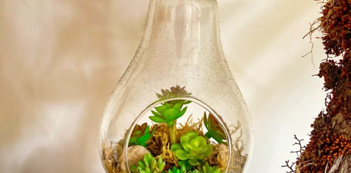 sustainability-1-2