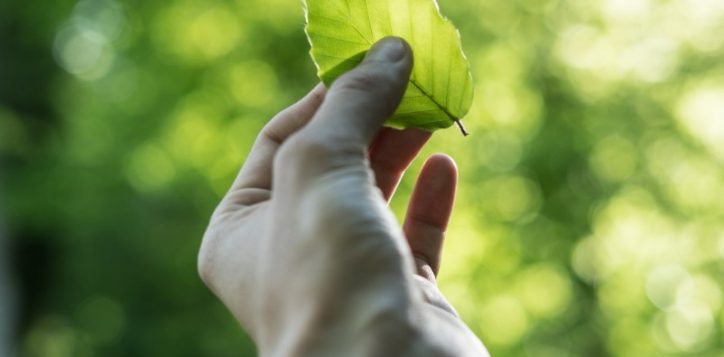 sustainability-2-2