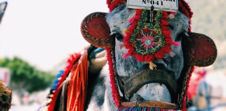 caleb-stokes-wdzlalcdbl4-unsplash-2