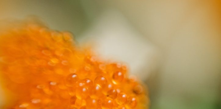 pexels-cottonbro-studio-3296898-2