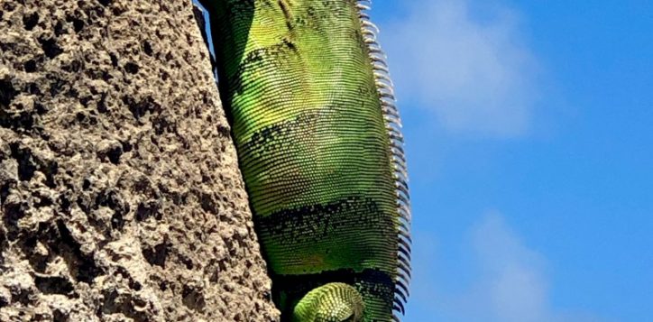 stephanie-klepacki-yjwaatq6gxo-unsplash-1-2