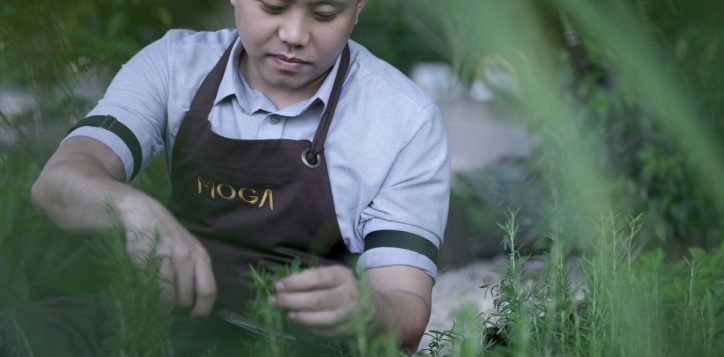 pullman-singapore-hill-street_sustainability-mixologist-2