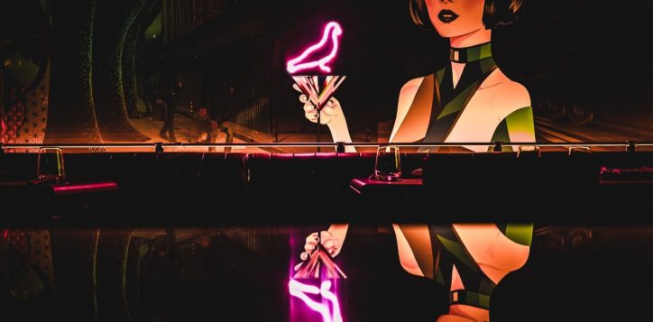 moga-x-neon-pigeon-2