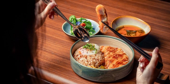 copy-of-pork-katsu-don-3